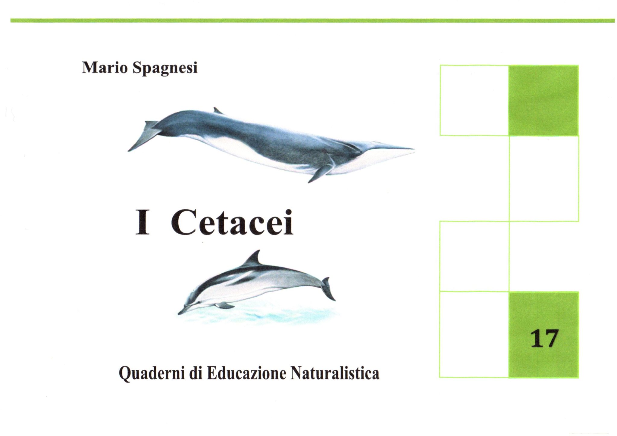 I Cetacei Uomo e natura